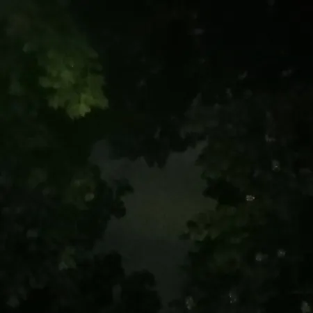 10 Olav Kyrres Vein Pa Frogner *